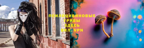гидра Михайлов