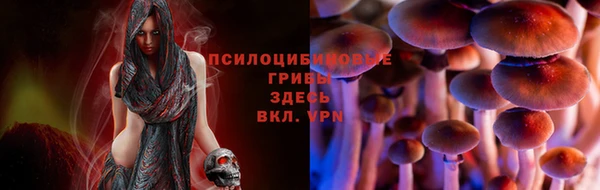 гидра Михайлов