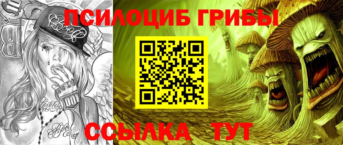 Псилоцибиновые грибы ЛСД Дзержинск