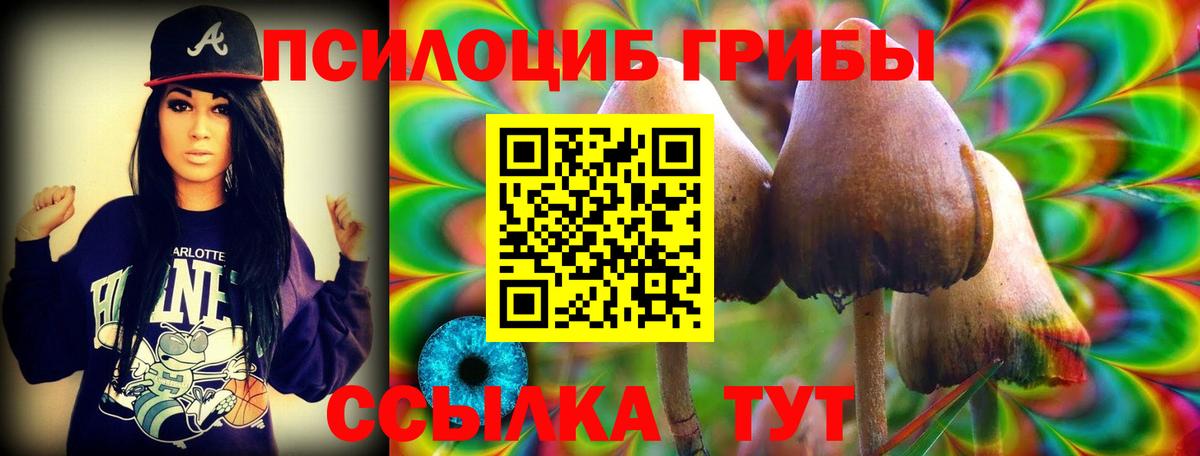 Галлюциногенные грибы Cubensis  купить наркотик  Дзержинск  Галлюциногенные грибы Psilocybe  Вход с VPN 